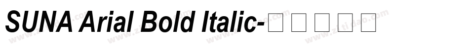 SUNA Arial Bold Italic字体转换